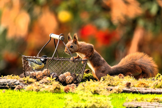 �1761685 �������(a): ����������:4233x2821